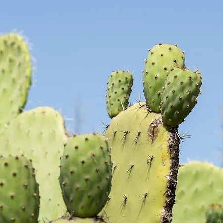 Holiday home Casa Con Veranda
